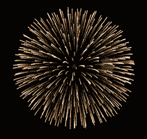 Gifs animés feux d'artifices 30